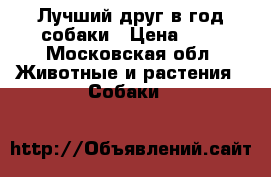 Лучший друг в год собаки › Цена ­ 1 - Московская обл. Животные и растения » Собаки   